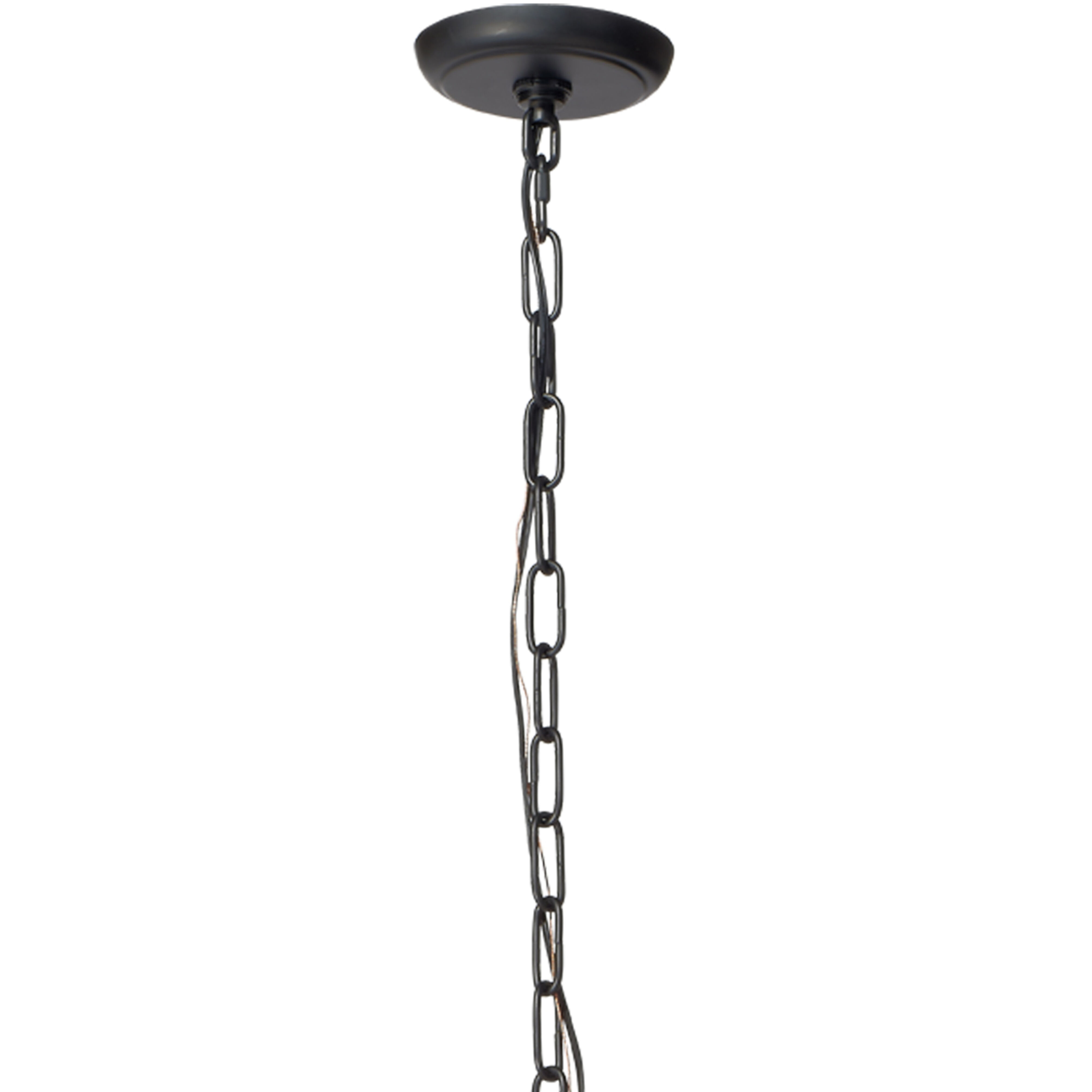 Blooming 12 Light 30 inch Black Chandelier Ceiling Light