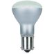 Lumos Incandescent 20.2 watt 28 Light Bulb, Miniature