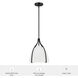 Arcelia 1 Light 12 inch Matte Black Pendant Ceiling Light, Medium
