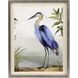 Animals Collection Blue Framed Art