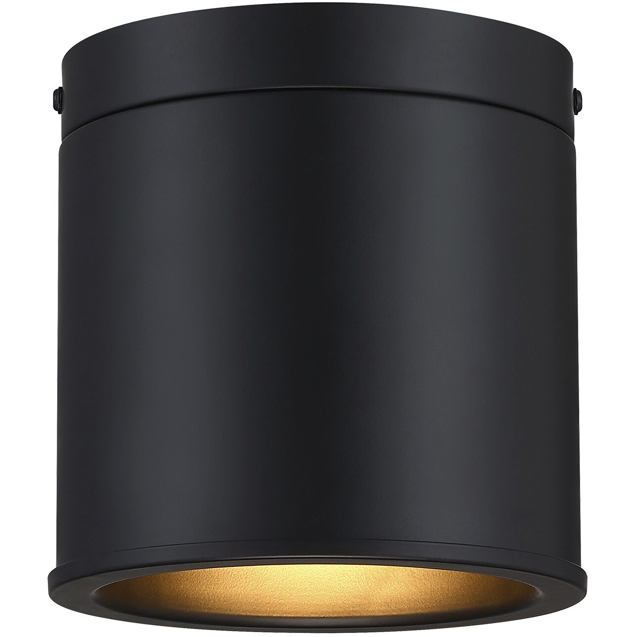 Fleur Oasis LED 6 inch Matte Black Flush Mount Ceiling Light