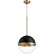 Fort Worth 1 Light 13 inch Noir and Aged Brass Pendant Ceiling Light