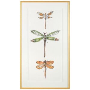 Joy Colangelo's Joyful Dragonflies II Giclees, Animal