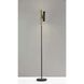 Vega 68 inch 24.00 watt Black with Antique Brass Accents LED Torchiere Portable Light 