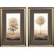 Way of Nature Brown and Black Framed Art, Propac