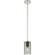 Downtown Urban Crown Point 1 Light 3.88 inch Polished Nickel Pendant Ceiling Light in Plated Smoke