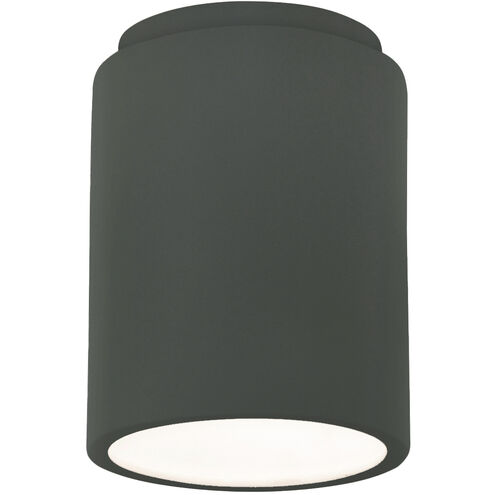 Radiance LED 6.5 inch Pewter Green Outdoor Flush Mount in 1000 Lm LED