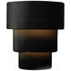 Ambiance Collection LED 12.75 inch Carbon Matte Black Wall Sconce Wall Light in Dedicated LED, Form+Finish+Function