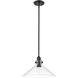 Dwyer 1 Light 15 inch Matte Black Pendant Ceiling Light
