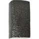 Ambiance LED 5.25 inch Hammered Pewter Wall Sconce Wall Light
