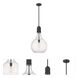 Amherst 1 Light 13.75 inch Matte Black Pendant Ceiling Light in Seedy Glass