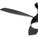 Odell 22 inch Black Ceiling Fan