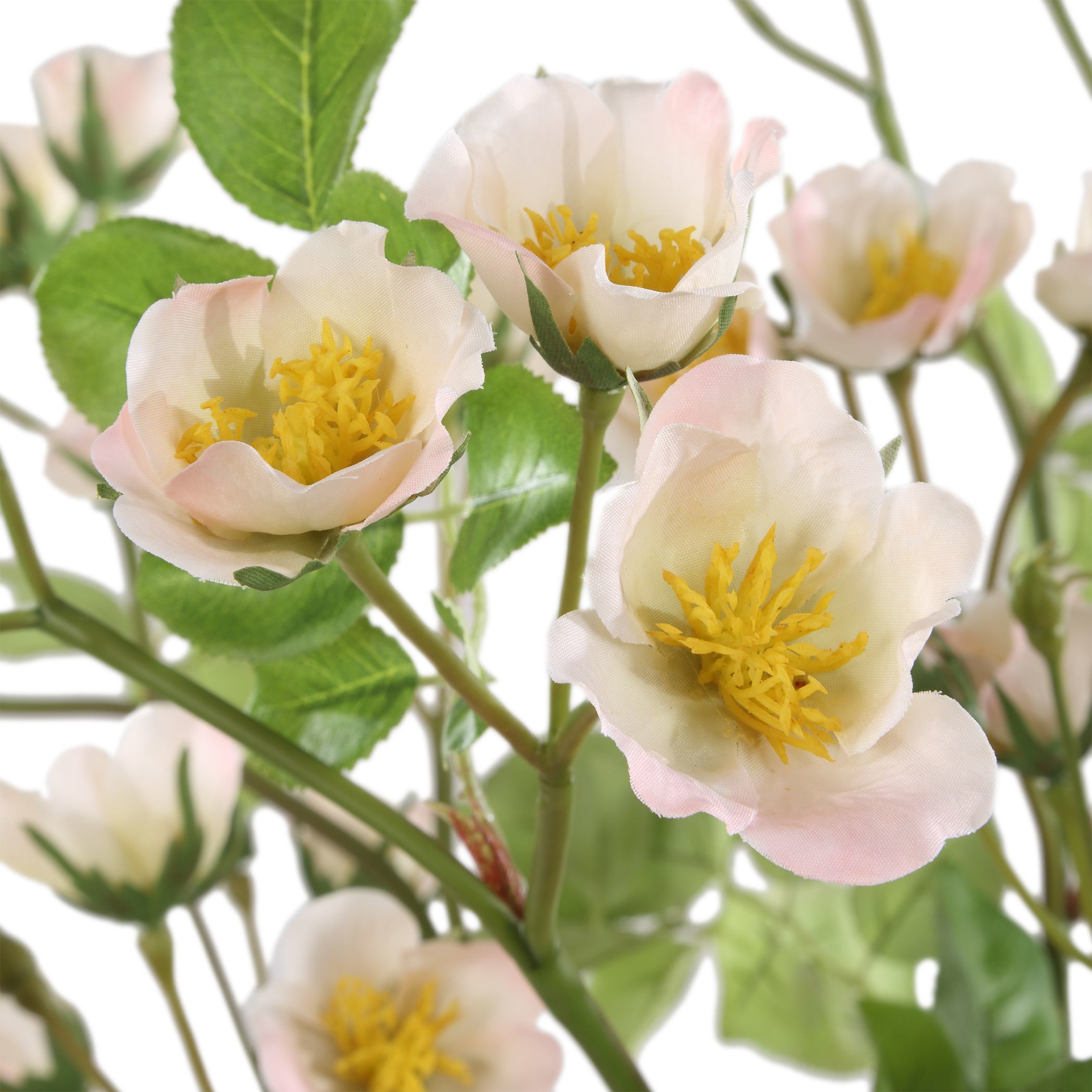 Tranquility Lenten Blush Pink and Light Yellow Rose Bouquets, Set of 2