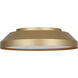 Nevado LED 12 inch Satin Brass Flush Mount Ceiling Light