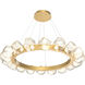 Gem LED Gilded Brass Chandelier Ceiling Light, Radial Ring