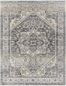 Chicago 35 X 23 inch Taupe Rug, Rectangle