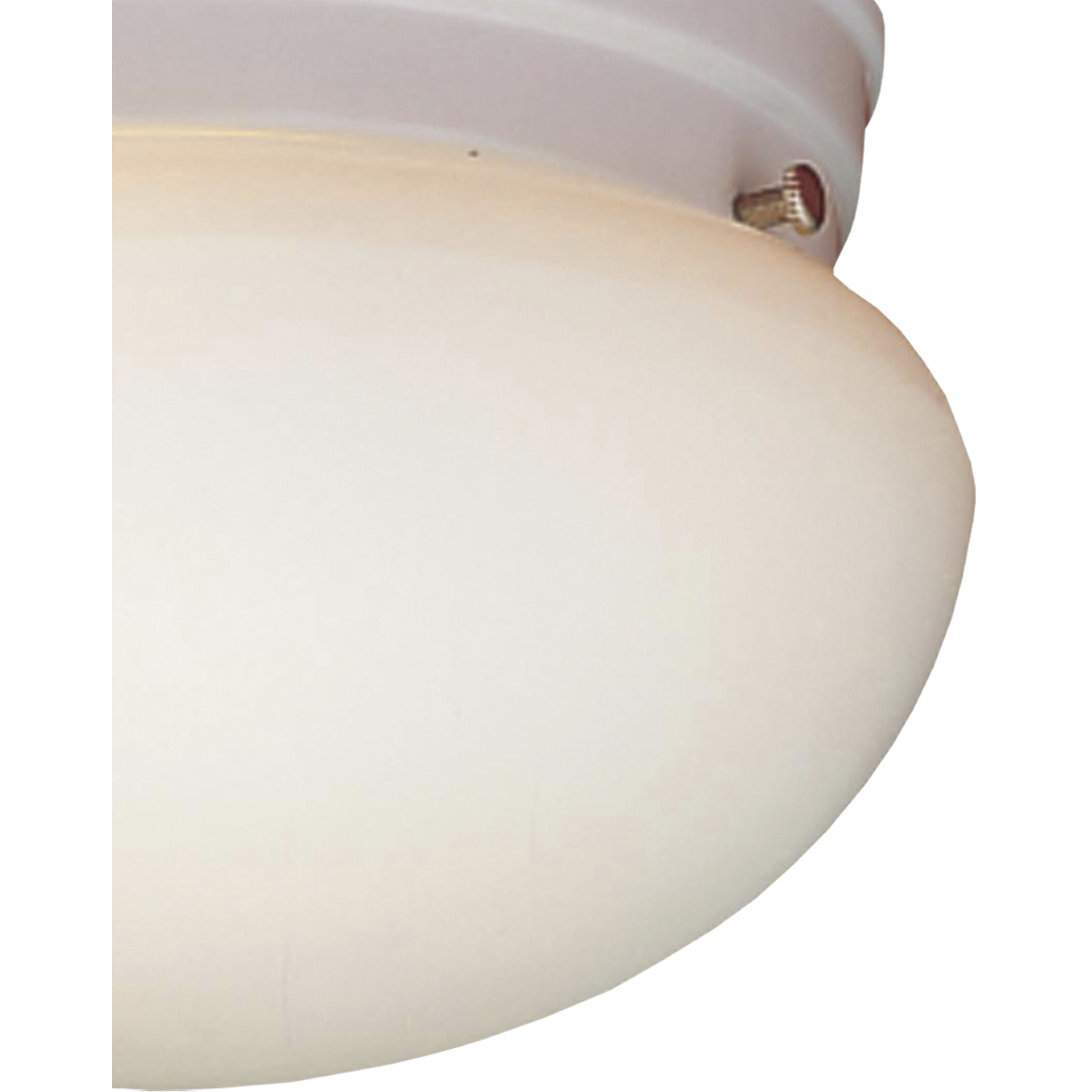 Elowen 2 Light 10 inch White Flush Mount Ceiling Light