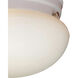 Elowen 2 Light 10 inch White Flush Mount Ceiling Light
