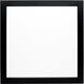 Blink Pro+ LED 12 inch Black Edge Lit Flush Mount Ceiling Light