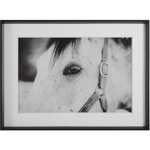 Eye Of The Beholder 46 X 34 inch Framed Print