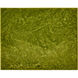 Rina 10.25 X 8.25 inch Green Box