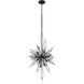 Orbital 16 Light 20 inch Carbon Pendant Ceiling Light