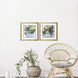 Succulent Garden Blue and Green Framed Art, Propac