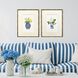 Blue and White Blue and Multi and Red and Yellow Framed Art