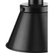 Hinton 1 Light 8.25 inch Matte Black Mini-Pendant Ceiling Light