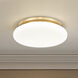 Soleil 1 Light 16 inch Modern Gold Flush Mount Ceiling Light