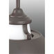 Carbon 1 Light 20 inch Graphite Pendant Ceiling Light, Design Series