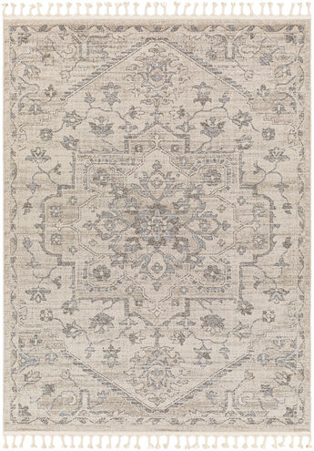 Euphoria 36 X 24 inch Taupe Rug, Rectangle