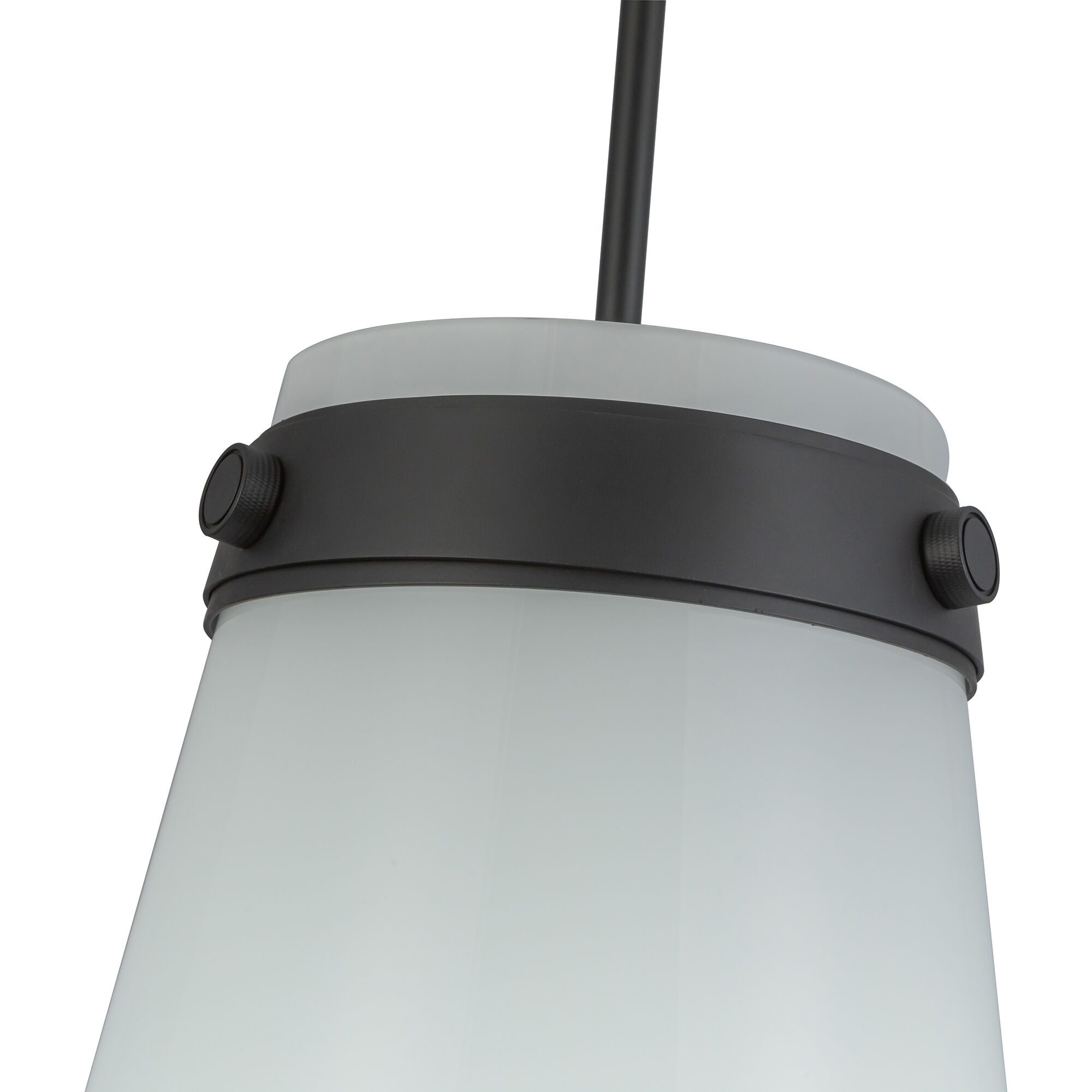 Dahlia 1 Light 12 inch Black Pendant Ceiling Light