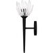 Shea Wall Sconce Wall Light in Matte Black, Small