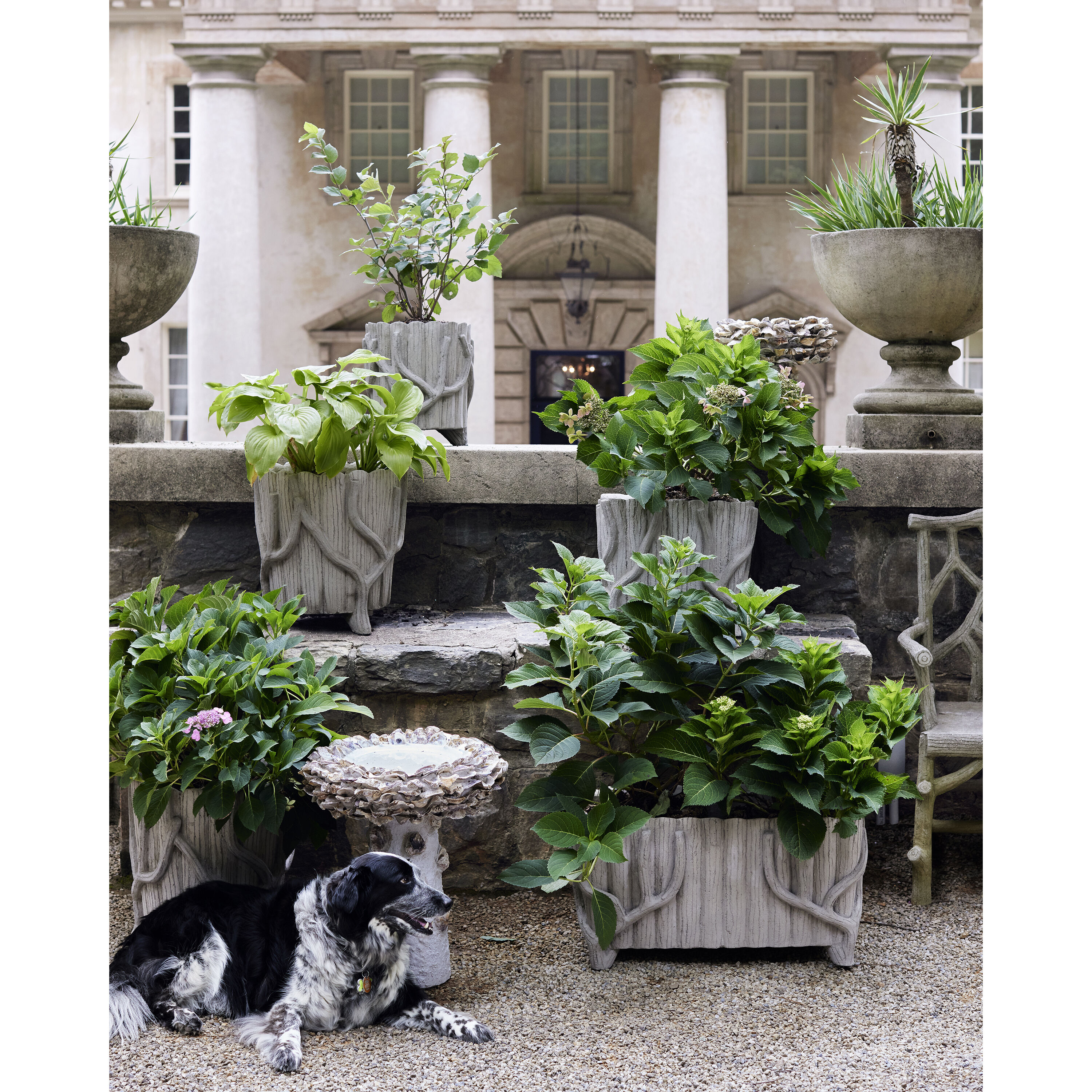 Chloe Portland/Faux Bois Planter