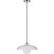 Dayana LED 15 inch Clear Pendant Ceiling Light
