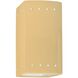 Ambiance LED 5.25 inch Muted Yellow Wall Sconce Wall Light
