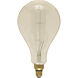Lumos Incandescent PS52 Medium E26 60 watt 120V 2200K Light Bulb