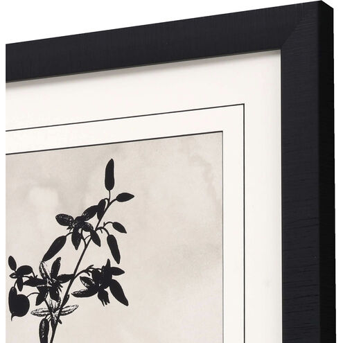 Dianella / Muscari Black and Beige Framed Art