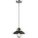Peggy's Cove 1 Light Graphite and Satin Nickel Mini-pendant Ceiling Light