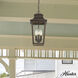 Spring Cove 3 Light 8 inch Matte Bronze Outdoor Pendant, Large