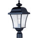 Senator 1 Light 20 inch Black Outdoor Pole/Post Mount