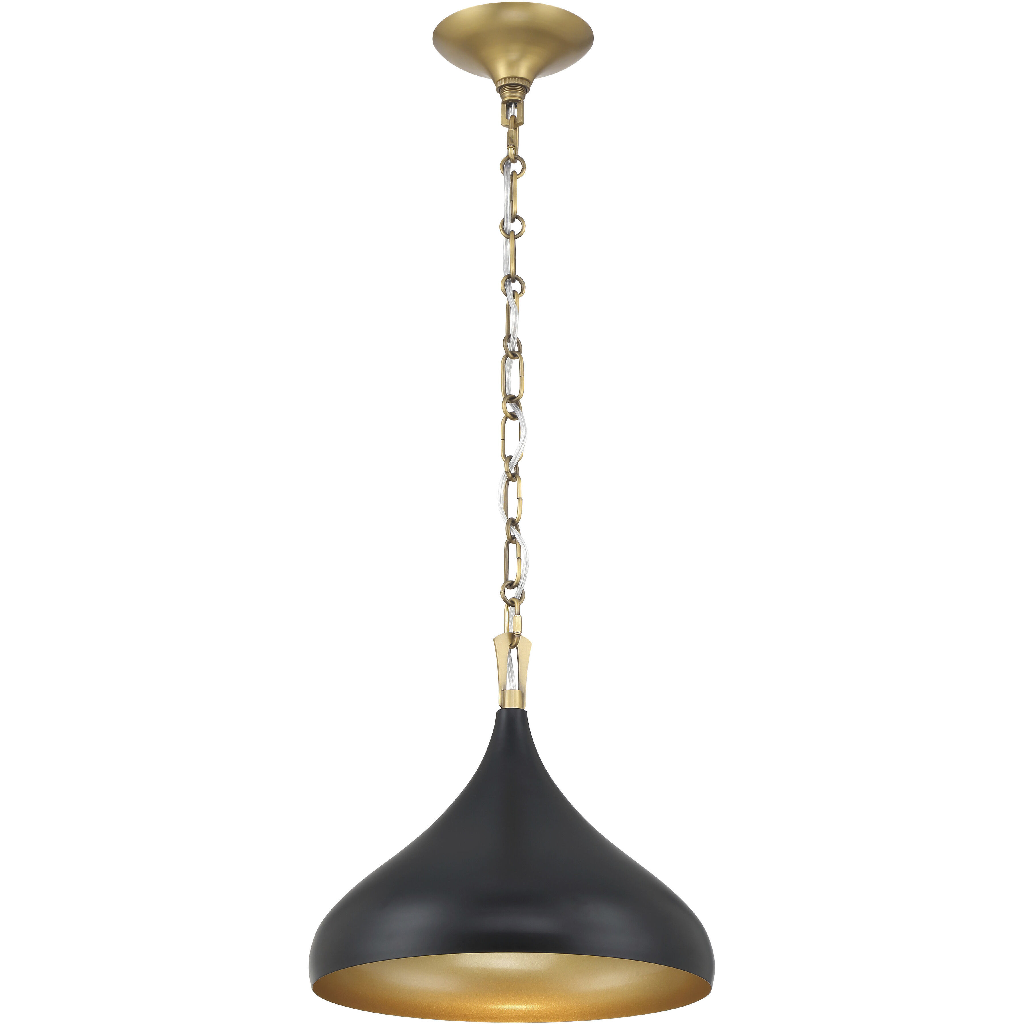 Cedar Lane 1 Light 12.75 inch Legacy Brass and Matte Coal Pendant Ceiling Light