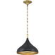 Cedar Lane 1 Light 12.75 inch Legacy Brass and Matte Coal Pendant Ceiling Light