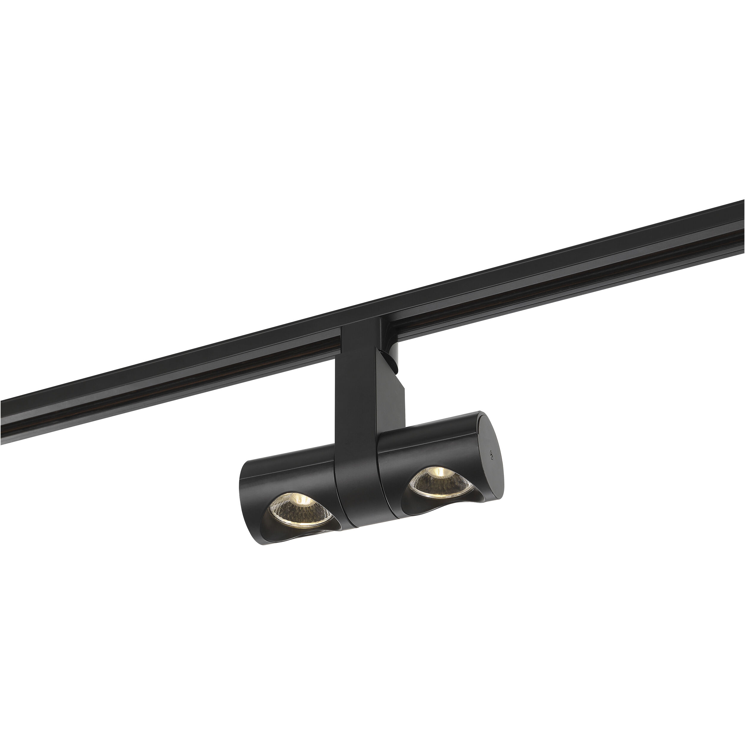 Dual Pipe 120 Black Track Head Ceiling Light
