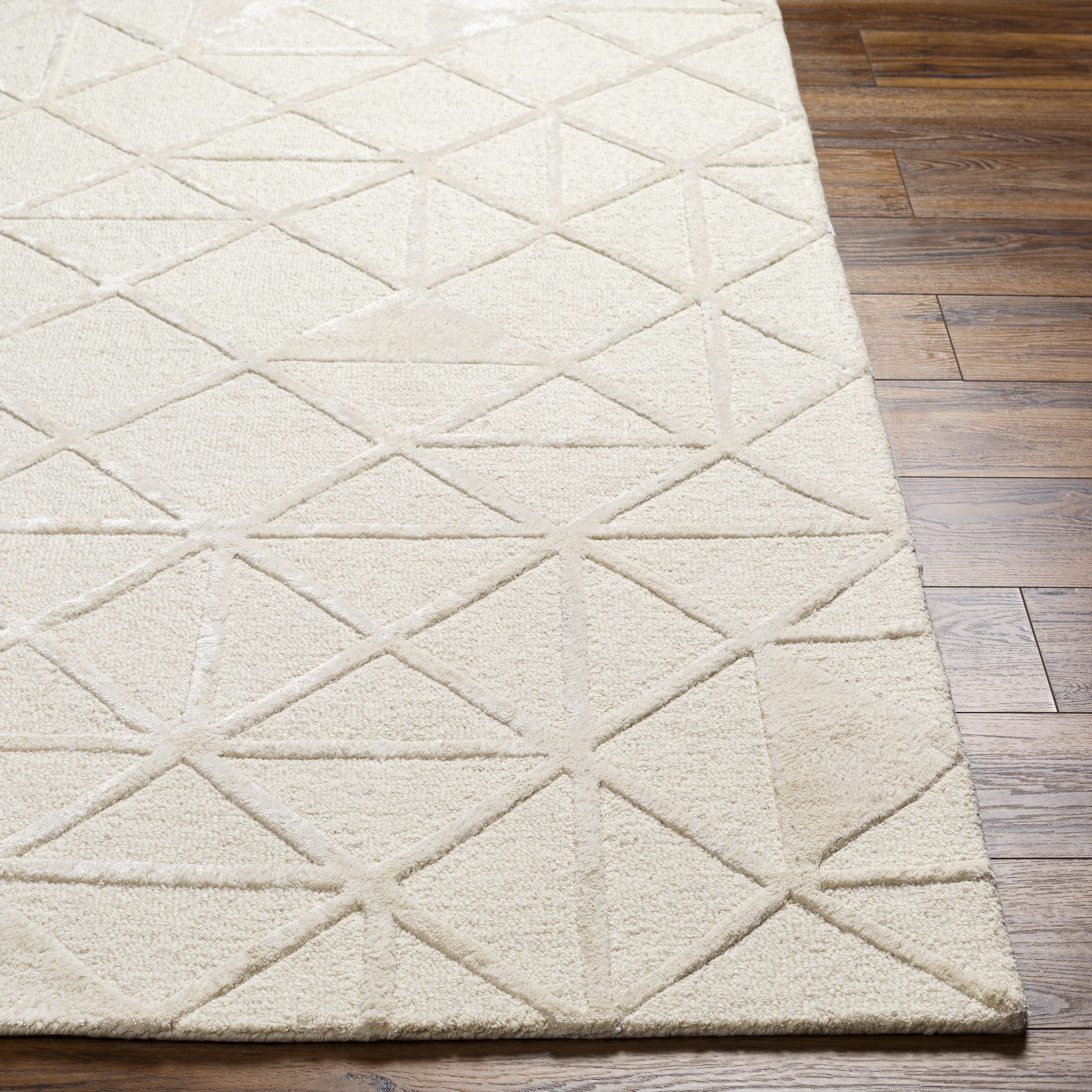 Addison 90 X 60 inch Beige Rug, Rectangle