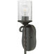 Casa 1 Light 5 inch Olde Black Indoor Wall Sconce Wall Light in Clear Seedy