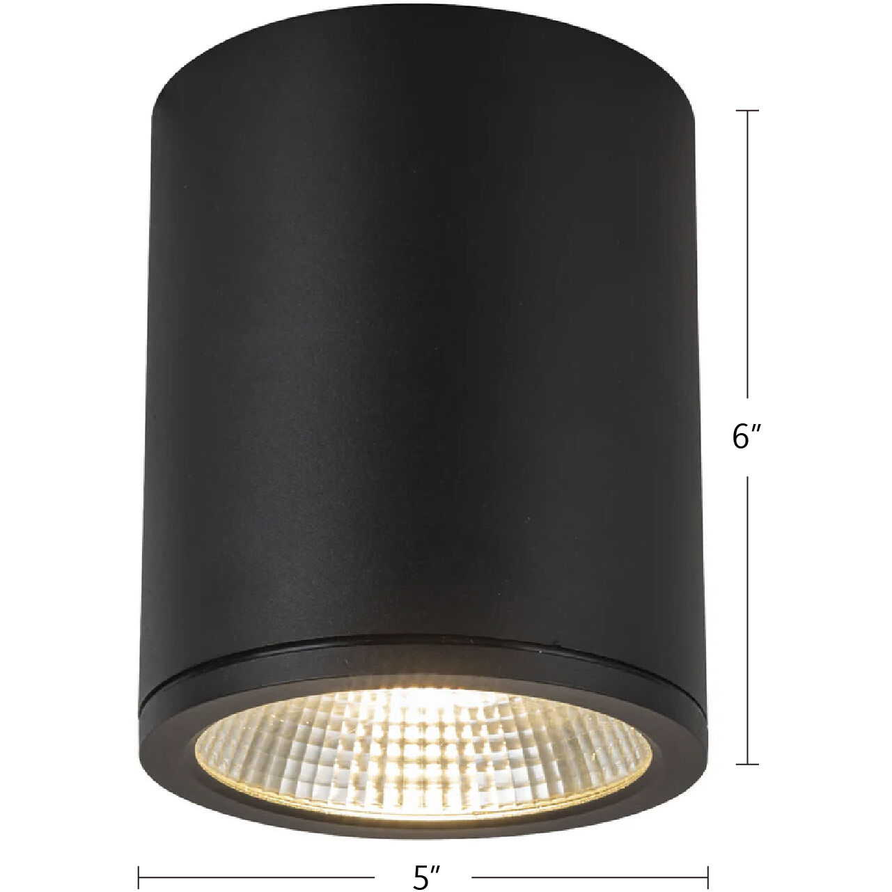 Nordic LED 5 inch Black Exterior Ceiling