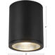 Nordic LED 5 inch Black Exterior Ceiling