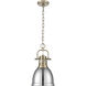 Yep Duncan 1 Light 8.88 inch Aged Brass Pendant Ceiling Light in Chrome, Small